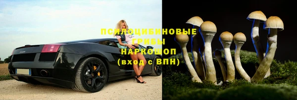 мдпв Нея