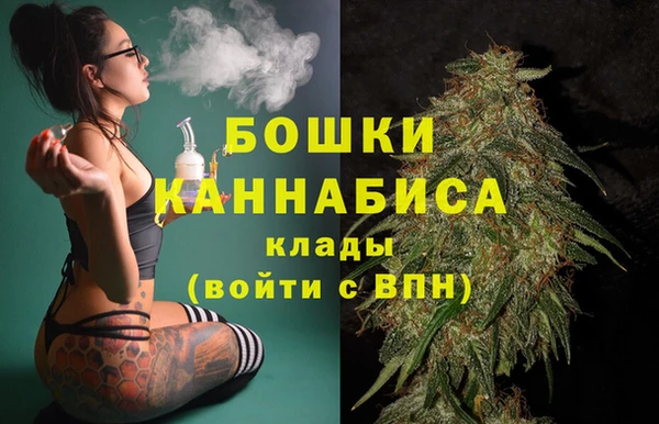 мдпв Нея