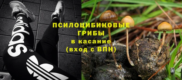мдпв Нея
