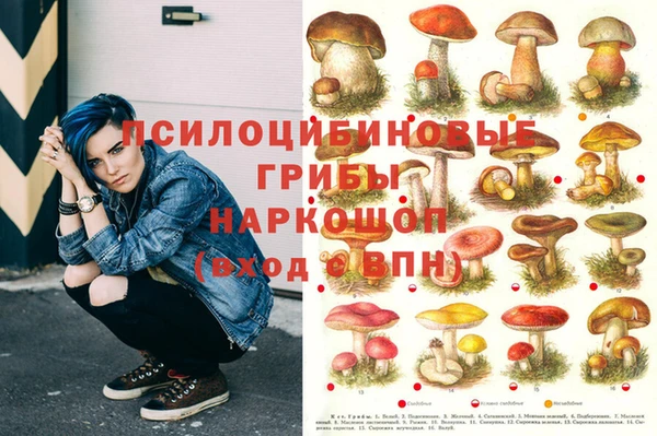 эйфоретик Нефтекумск
