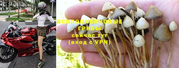 мдпв Нея