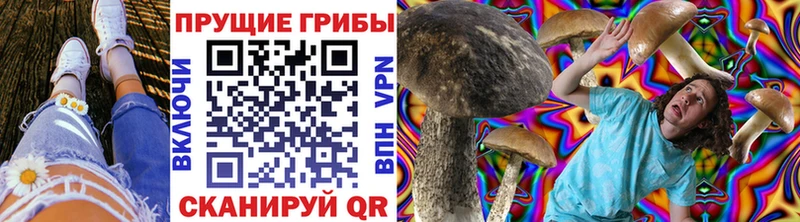 Псилоцибиновые грибы Psilocybine cubensis  продажа наркотиков  гидра маркетплейс  Петровск-Забайкальский 