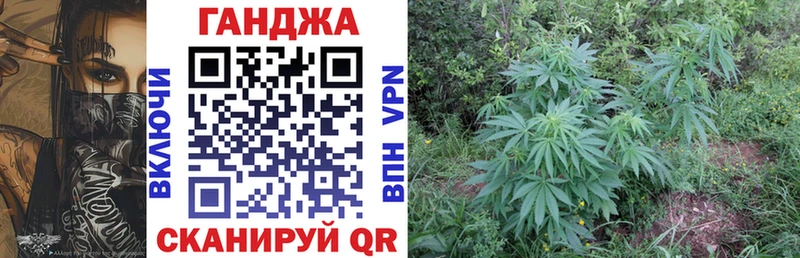 площадка как зайти  Петровск-Забайкальский  Канабис планчик  blacksprut сайт 